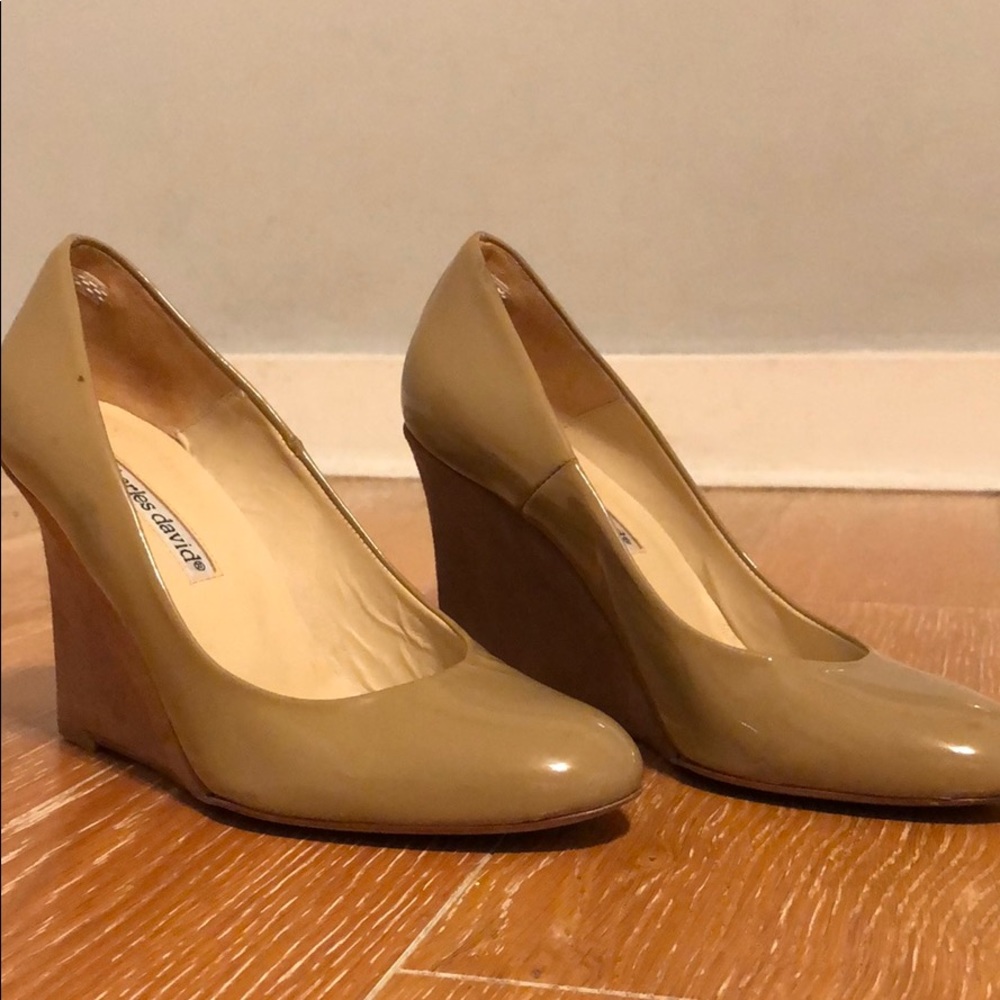 Charles David Pump
